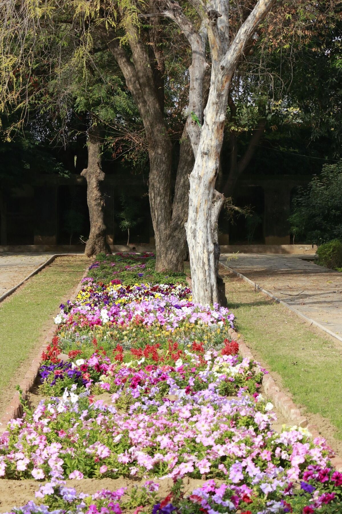 מלון Samode Bagh מראה חיצוני תמונה